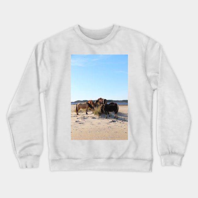 Assateague Beach Ponies Series - 04 Crewneck Sweatshirt by searchlight